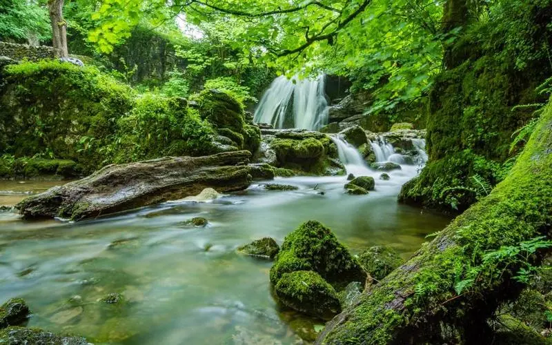 高端智慧制造全自动